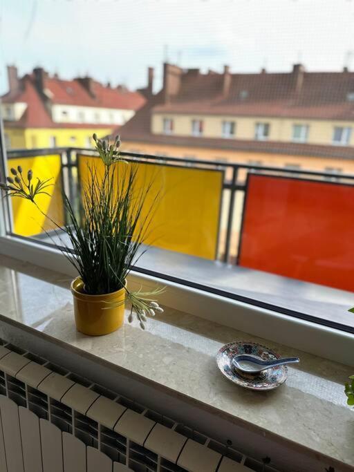 Sunny Apartment In Silesia Czeladź Kültér fotó